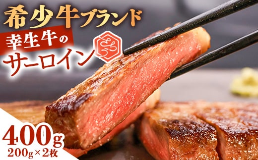 【45営業日以内配送】幸せを運ぶ牛《幸生牛》希少牛 サーロインステーキ 400g（200g×2枚） 025-D-YL038