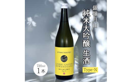 銀嶺月山 純米大吟醸 生酒 Type-N（720ml×1本） 010-E-GS028