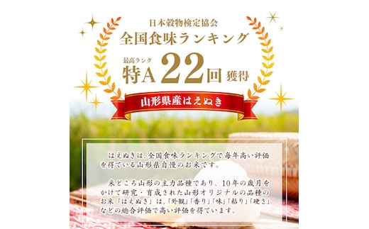 胚芽精米】BG無洗米 はえぬき 10kg（2kg×5袋）真空パック 山形県産 【 お取り寄せ 山形産 お米 ごはん コメ 保存 保管 備蓄 小分け  環境 エコ 個包装 ストック 防災 災害 使い切り キャンプ アウトドア キューブ 長持ち 東北 山形 2キロ 10キロ 】 028-C-TH002 