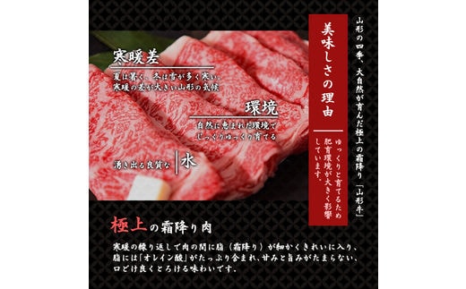 ふるさと納税 山形県 寒河江市 加工品3種セット 山形牛そぼろ・しぐれ煮と山形豚そぼろ012-D-YL003-03 【2… みやさかやの佃煮 3種詰め合わせセット 瓶詰 惣菜 みやさかや 黒毛和牛