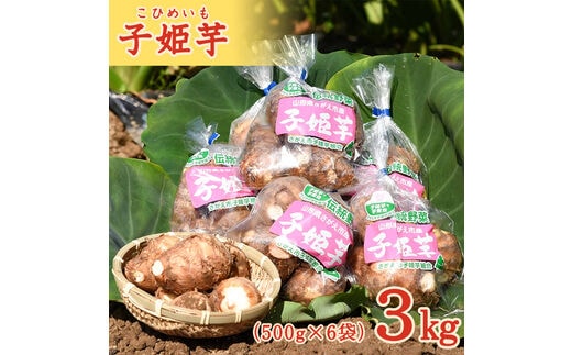 令和7年産 伝統野菜 里芋「子姫芋」3kg（500g×6袋）土付 山形県産 2025年産【2025年10月下旬頃～2026年1月頃配送予定】 012-B-BK004