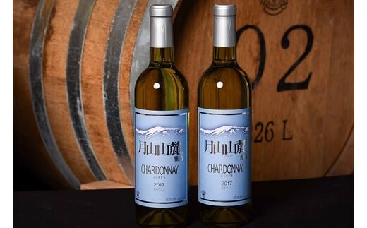 《山形県産ぶどう100％》月山山麓 シャルドネヴィンテージ 白ワイン 辛口 （720ml×2本） 018-E-CK011