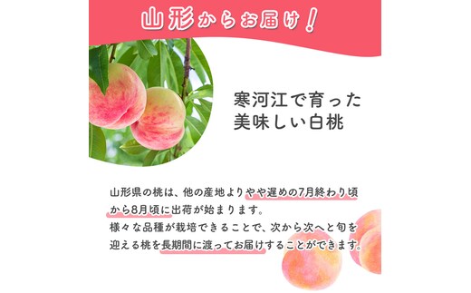 有機肥料栽培 硬めの 白桃 2kg（5～9玉） 秀品 品種おまかせ 山形産