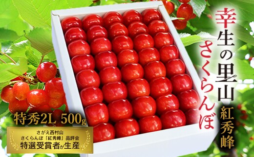 《先行予約》令和8年産 幸生の里山 さくらんぼ 「紅秀峰」2Lサイズ 特秀品 500g 化粧詰（発泡スチロール包装）山形県産 【2026年7月上旬頃～7月中旬頃発送予定】 ※配送不可 沖縄・離島 040-A-MZ003