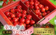 《先行予約》令和8年産 幸生の里山 さくらんぼ 「紅秀峰」秀・2Lサイズ以上 1kg（500g×2パック）山形県産 【2026年7月上旬頃～7月中旬頃発送予定】 ※配送不可 沖縄・離島  032-A-MZ001