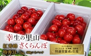 《先行予約》令和8年産 幸生の里山 さくらんぼ 「紅秀峰」1kg（500g 2パック）特秀品 3Lサイズ 山形県産 【2026年7月上旬頃～7月中旬頃発送予定】 ※配送不可 沖縄・離島　044-A-MZ002