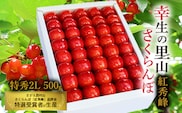 《先行予約》令和8年産 幸生の里山 さくらんぼ 「紅秀峰」2Lサイズ 特秀品 500g 化粧詰（発泡スチロール包装）山形県産 【2026年7月上旬頃～7月中旬頃発送予定】 ※配送不可 沖縄・離島　040-A-MZ003