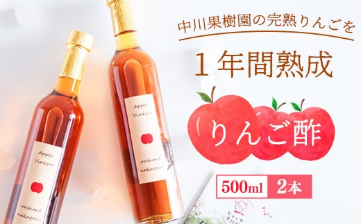 《完熟りんご使用！》 りんご酢 500ml×2本セット 【 ビネガードリンク りんご 無添加 ギフト 贈答 オリジナル 山形 りんご酢 フルーツビネガー フルーツ ドリンク 砂糖不使用 はちみつ使用 健康 おしゃれ 飲料類 プレゼント かわいい 可愛い カワイイ 】 025-G-NG003