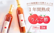 《完熟りんご使用！》 りんご酢 500ml×2本セット 【 ビネガードリンク りんご 無添加 ギフト 贈答 オリジナル 山形 りんご酢 フルーツビネガー フルーツ ドリンク 砂糖不使用 はちみつ使用 健康 おしゃれ 飲料類 プレゼント かわいい 可愛い カワイイ 】　025-G-NG003