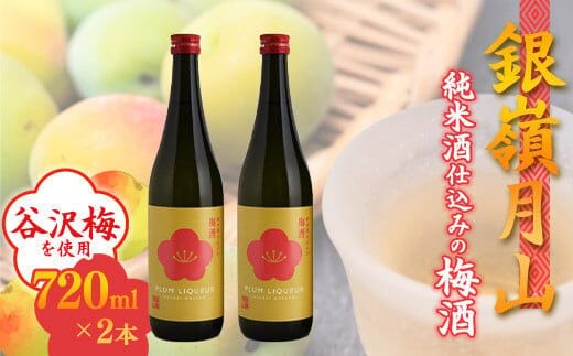 銀嶺月山 純米酒仕込みの梅酒（720ml×2本セット）【貴重な山形県産ブランド梅「谷沢梅」を使用】 020-E-GS017