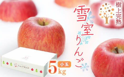 雪室りんご 5kg「樹上完熟 ふじりんご」 小玉サイズ 山形産 【2026年1月中旬頃～3月頃 発送予定】 2025年産 令和7年産 山形県 020-B-NG002