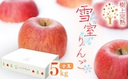 雪室りんご 5kg「樹上完熟 ふじりんご」 小玉サイズ 山形産 【2026年1月中旬頃～3月頃 発送予定】 2025年産 令和7年産 山形県　020-B-NG002