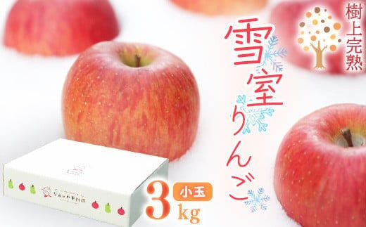 雪室りんご 3kg「樹上完熟 ふじりんご」 小玉サイズ 山形産 【2026年1月中旬頃～3月頃 発送予定】 2025年産 令和7年産 山形県 013-B-NG001