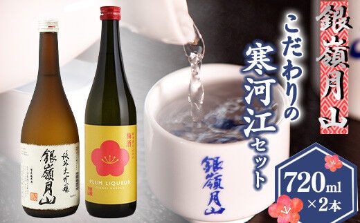 銀嶺月山《純米大吟醸と梅酒》こだわりの寒河江セット（720ml×2本）【山形県産酒造好適米「出羽燦々」、貴重な山形県産ブランド梅「谷沢梅」を使用】 020-E-GS018