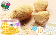 こだわりクリームの「生パイ」10個　008-G-CY001