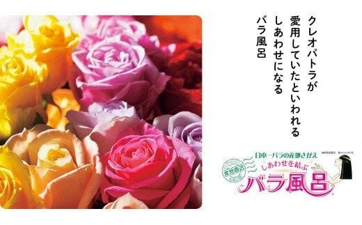 ご自宅用 バラ風呂セット（48輪）山形県産 ／ 薔薇 お取り寄せ 特産 名物 産地直送 ばら ギフト プレゼント フラワー ローズ 花 祝 贈答 記念 植物 癒し 香り 豪華 女子力 彼女 妻 母 女性 友達 コスプレ バス リラックス 撮影 国産 東北 山形 021-K-JS002