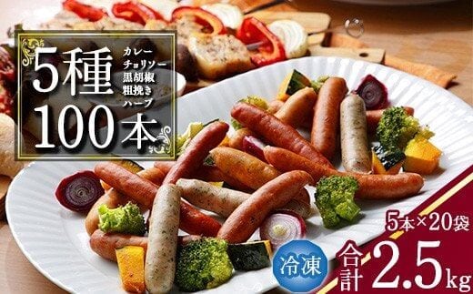 【本格バルの味】５種のウインナー 合計2.5kg（125g×小分け20パック：計100本） ／ お取り寄せ 小分け 個包装 便利 冷凍 保存 備蓄 あらびき ソーセージ 食べ比べ 大容量 業務用 湯煎 牛 豚 肉 アウトドア バーベキュー 焼肉 おかず おつまみ 弁当 国内製造 東北 山形 021-D-NB003