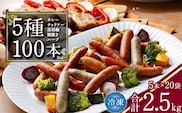 【本格バルの味】５種のウインナー 合計2.5kg（125g×小分け20パック：計100本） ／ お取り寄せ 小分け 個包装 便利 冷凍 保存 備蓄 あらびき ソーセージ 食べ比べ 大容量 業務用 湯煎 牛 豚 肉 アウトドア バーベキュー 焼肉 おかず おつまみ 弁当 国内製造 東北 山形　021-D-NB003