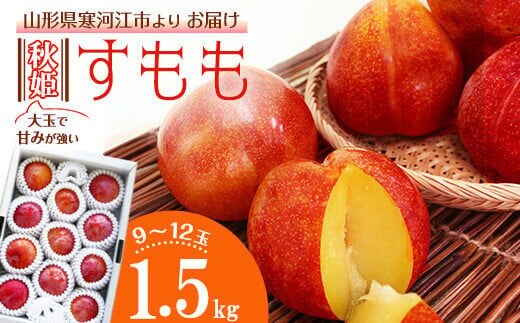 ギフト対応OK》大玉すもも「秋姫」1.5kg（9～12玉）山形県産 2023年産