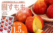 令和8年産 大きな すもも 「秋姫」 1.5kg（9 - 12玉） 2026年産 山形県産【2026年9月中旬頃から9月末頃発送予定】※ 配送不可 沖縄・離島　012-B-MM020