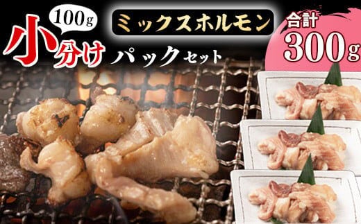 【45営業日以内配送】《 お試しにちょうどいい》焼肉店でも人気の国産牛ホルモンMIXが100g×3パック！ 006-D-YL001