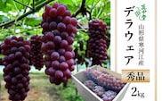 【先行予約】 令和8年産 ぶどう「デラウェア」2kg 種なし 秀品 L～2Lサイズ 2026年産 山形県産【2026年7月下旬頃～8月中旬頃発送予定】 ※配送不可 沖縄・離島　017-B-SD002