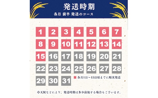 2024年11月～2025年4月》【令和6年産 新米 先行予約】選べる6ヶ月定期便《 特別栽培米 》 無洗米 つや姫 合計30kg（5kg×6回）  山形県産 055-C-SR005-11前-04前 dショッピングふるさと納税百選