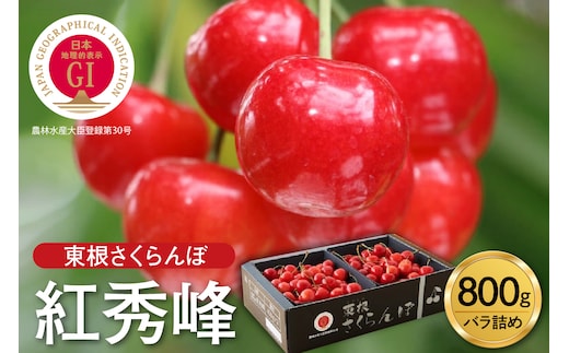 【2027年産】GI東根さくらんぼ「紅秀峰」800g バラ詰め 山形県 東根市 hi001-040-r9