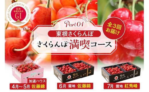 【2026年産 先行予約】GI「東根さくらんぼ」 さくらんぼ 満喫 コース Part１ (2026年4月下旬～5月中旬からスタート) 山形県 東根市 hi001-042