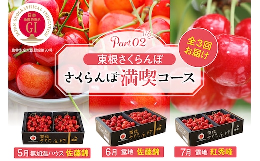 【2026年産 先行予約】 GI「東根さくらんぼ」 さくらんぼ 満喫 コース Part2 (2026年5月下旬～6月上旬からスタート) 山形県 東根市 hi001-043