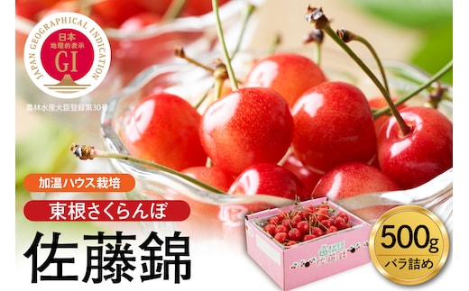 【2026年産 先行予約】超先取り！4月から発送 加温ハウス栽培 GI 「東根さくらんぼ」佐藤錦 500gバラ詰め JA園芸部提供 山形県 東根市 hi001-037