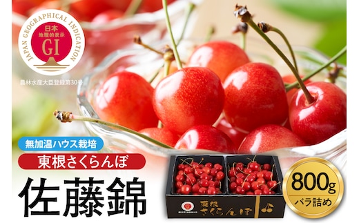 【2026年産 先行予約】先取り！5月から発送 無加温ハウス栽培 GI 「東根さくらんぼ」佐藤錦 800gバラ詰め JA園芸部提供 山形県 東根市 hi001-038