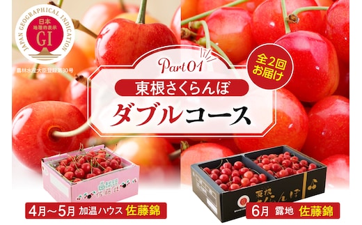 【2026年産 先行予約】東根さくらんぼ ダブルコース （佐藤錦加温500g、佐藤錦露地900g） 山形県 東根市 hi001-044