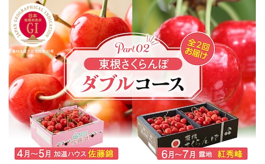 【2026年産 先行予約】東根さくらんぼ ダブルコースpart2（佐藤錦加温500g、紅秀峰800g） 山形県 東根市 hi001-045