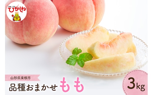 【2026年産 先行予約】もも (品種おまかせ) 3kg JA提供 山形県 東根市 hi003-156