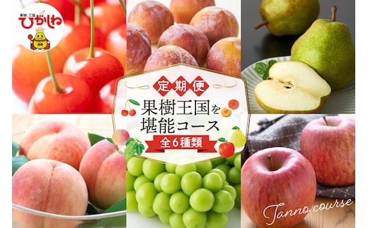 【2026年先行予約 6回 定期便】果樹王国を堪能コース 山形県 東根市 さくらんぼ もも プラム シャインマスカット ラ・フランス りんご hi999-045