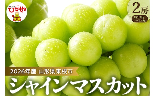 【2026年 先行予約】ぶどう「シャインマスカット」2房 (約1.3kg～1.4kg) 山形県 東根市 hi003-153