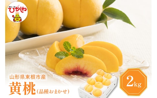 【2026年産 先行予約】 黄桃 (品種おまかせ) 2kg 秀品 化粧箱入り 東根農産センター提供 山形県 東根市 hi027-260