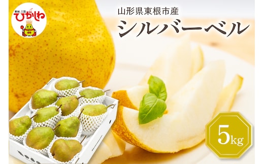 【令和7年産 先行予約】西洋梨シルバーベル5kg 山形県 東根市 東根農産センター提供 hi027-199-1