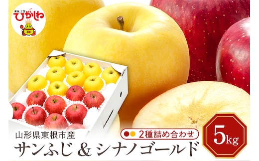 【令和7年産 先行予約】りんご サンふじ ＆シナノゴールド5kg(秀品) 山形県 東根市 東根農産センター提供 hi027-208-1