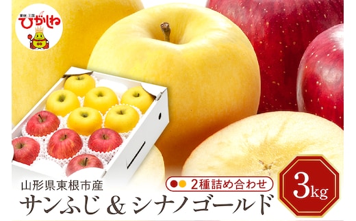【令和7年産 先行予約】りんご サンふじ ＆シナノゴールド3kg(秀品) 山形県 東根市 東根農産センター提供 hi027-209-1