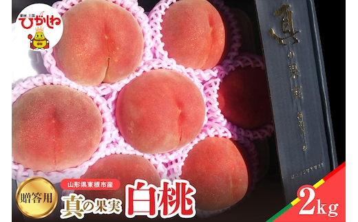 【2026年産】真の果実 贈答用 白桃2kg 松栗提供 山形県 東根市 hi062-055