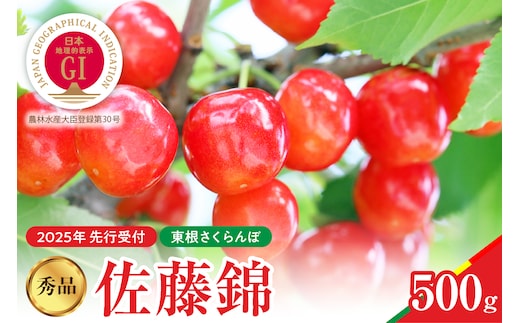 【2025年産　先行予約】佐藤錦 秀品 500g 