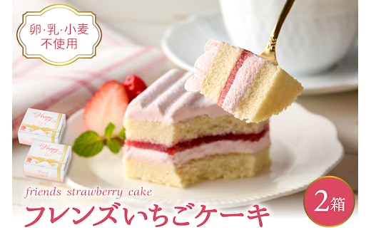 【期間限定】卵・乳・小麦不使用【フレンズいちごケーキ × 2箱】 山形県 東根市 日東ベスト 2箱 hi010-024