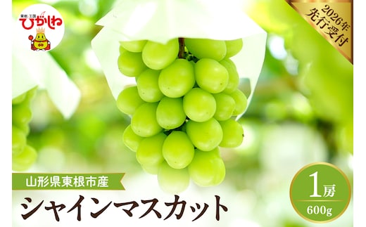 【2026年産先行予約】 シャインマスカット 約600g (1房入) 山形県 東根市 hi026-053