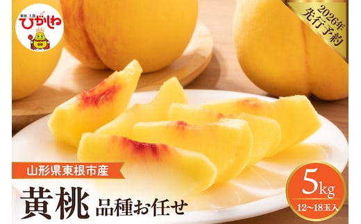 【2026年産先行予約】 採れたて黄桃(品種お任せ) 約5kg (12～18玉)晴天畑提供 山形県 東根市 hi026-058