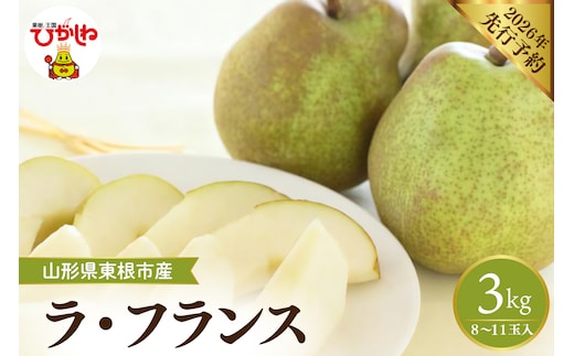 【2026年産先行予約】 フルーツの女王「ラ・フランス」 約3kg(8～11玉)山形県 東根市 hi026-059