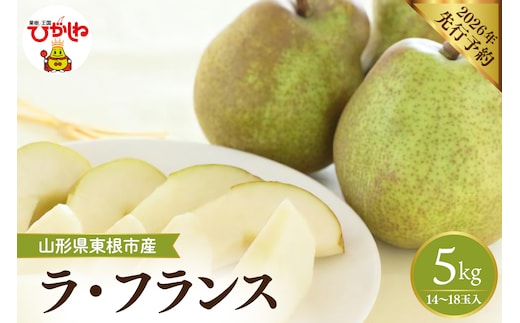 【2026年産先行予約】 フルーツの女王「ラ・フランス」 約5kg (14～18玉入) 山形県 東根市 hi026-060