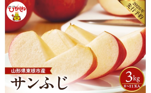【2026年産先行予約】 太陽の恵みをいっぱいに浴びたりんご「サンふじ」 約3kg (8～11玉入) 山形県 東根市 hi026-061