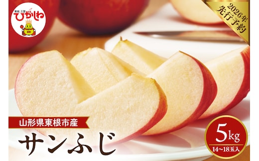 【2026年産先行予約】 太陽の恵みをいっぱいに浴びたりんご「サンふじ」 約5kg (14～18玉入) 山形県 東根市 hi026-062
